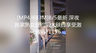 未知情侣的爱情【上集】