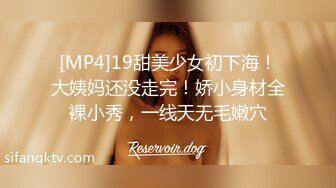 [MP4/387MB]愛豆傳媒 ID5361 寂寞主婦離異後的孿生情緣 喬安