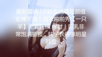 最新重磅！G奶高颜明星颜值女神下海！首次啪啪秀【一只羊】无套狂操 内射！巨乳非常饱满挺拔，妹子长得像明星韩雪