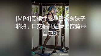 极品身材女友2