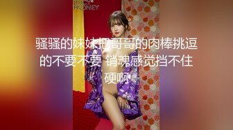 [MP4]麻豆传媒震撼主题性爱轰趴-你好同学 性爱撕票巨乳女同学 营火帐篷激情做爱 節目