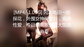 即含即插ＯＫ的绝对领域侍奉女仆