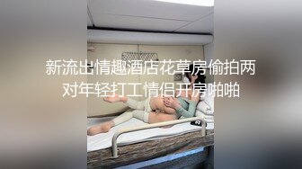 新流出情趣酒店花草房偷拍两对年轻打工情侣开房啪啪