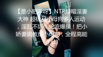 【是小肥羊呀】NTR绿帽淫妻大神 超极品小母狗多人运动，淫乱不堪！轮流爆操！把小娇妻调教成小母狗，全程高能 3 (1)