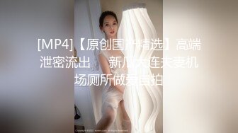 娇子格调_20230109_2307