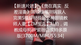 麻豆传媒MAD-029 仙人跳弃子勒索反被强上的女人