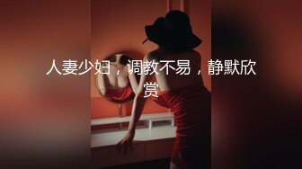 越南航空飞行员与漂亮爆乳嫩模女友性爱私密视频流出