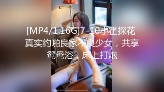 [MP4]麻豆传媒 MSD045 《女上司骚气反差》醉心之时 一亲芳泽 袁子仪