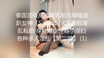 绝色豪乳筷子腿 轻熟女 爆乳肥臀~撩骚诱惑【短发屁】性感热舞 蹂躏大奶【200v】 (110)