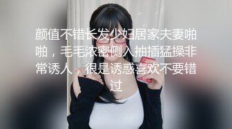 JDMY024.密友.第二十四集.精东影业