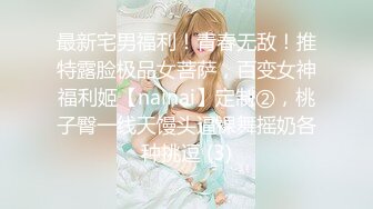 后入双马尾女友