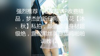 强烈推荐！电报群VIP收费精品，梦杰的新母狗姐妹花【沐、秋】私拍，颜值顶级身材超级绝，露脸黑丝美腿舔鸡啪啪调教 (2)