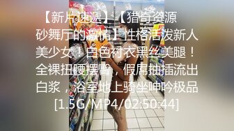 几年前的极品女友2