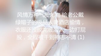 我的女装日记之勾引司机