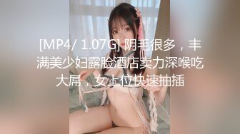 【香蕉视频】xjx-0119 朋友妻醉酒欺 米菲兔