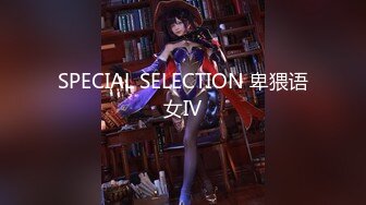 SPECIAL SELECTION 卑猥语女IV