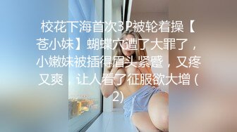 喜欢舔大吊的熟女楼凤，手握粗长大鸡巴含在嘴里一直哆嗦哆嗦，手速撸得蛮快的！