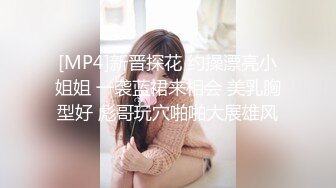 [MP4]新晋探花 约操漂亮小姐姐 一袭蓝裙来相会 美乳胸型好 彪哥玩穴啪啪大展雄风