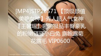 国产AV 蜜桃影像传媒 PMX026 空姐的淫乱秘密 雷梦娜