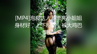 [MP4]泡良达人，漂亮小姐姐身材好，上下粉嫩，被大鸡巴满足