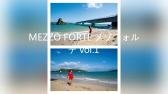 MEZZO FORTE メゾフォルテ vol.1