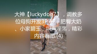 大神【luckydog7】，调教多位母狗开发3P 4P，肥臀大奶、小家碧玉，叫声淫荡，精彩内容看图 (4)