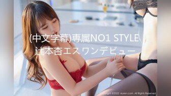 (中文字幕)専属NO1 STYLE 辻本杏エスワンデビュー