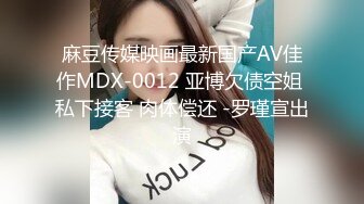 麻豆传媒映画最新国产AV佳作MDX-0012 亚博欠债空姐 私下接客 肉体偿还 -罗瑾宣出演