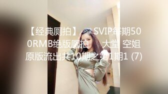 【经典厕拍】✅✅SVIP每期500RMB绝版厕拍❤️大堂 空姐原版流出共10期之第1期1 (7)