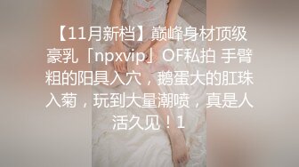 【11月新档】巅峰身材顶级豪乳「npxvip」OF私拍 手臂粗的阳具入穴，鹅蛋大的肛珠入菊，玩到大量潮喷，真是人活久见！1