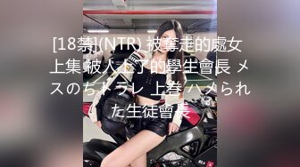 [18禁](NTR) 被奪走的處女 上集 被人上了的學生會長 メスのちトラレ 上巻 ハメられた生徒會長