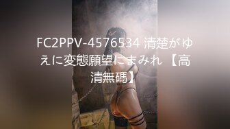 FC2PPV-4576534 清楚がゆえに変態願望にまみれ 【高清無碼】