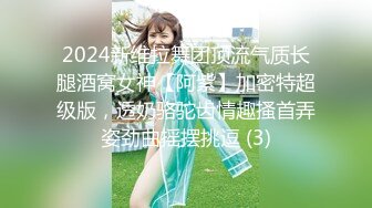 2024新维拉舞团顶流气质长腿酒窝女神【阿紫】加密特超级版，透奶骆驼齿情趣搔首弄姿劲曲摇摆挑逗 (3)